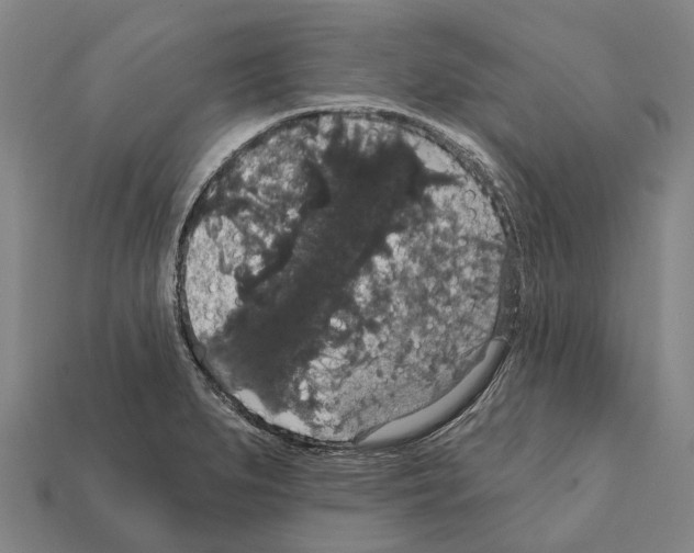 X0000111911279200909071149