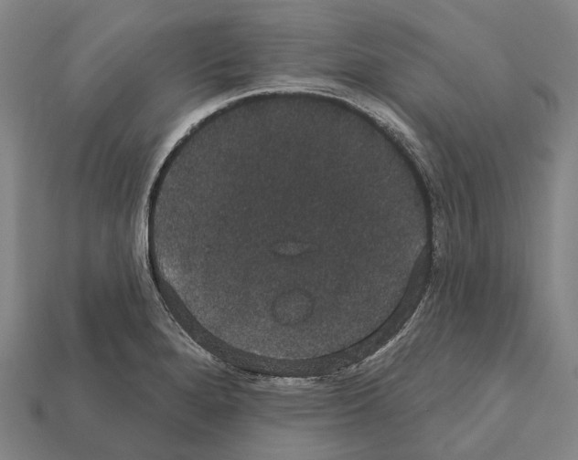 X0000111911280200909071149
