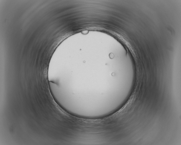X0000111911281200909071149