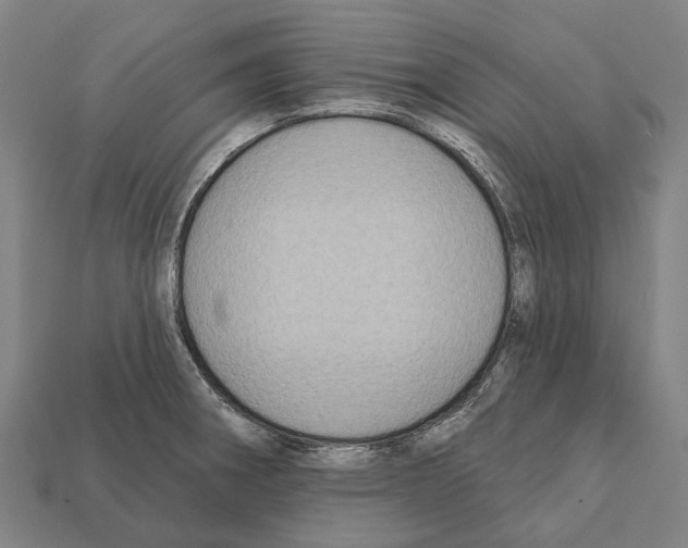 X0000111911282200909071149
