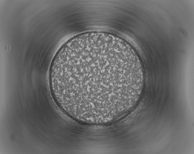 X0000111911283200909071149