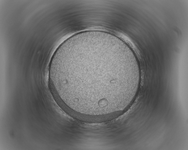 X0000111911284200909071149