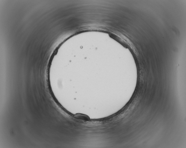 X0000111911285200909071149