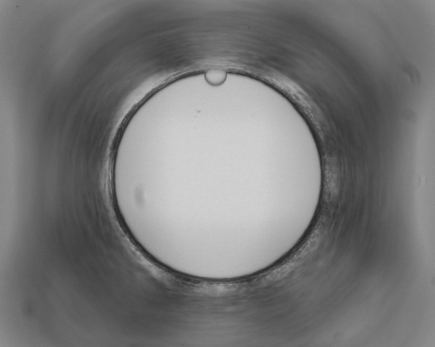 X0000111911286200909071149