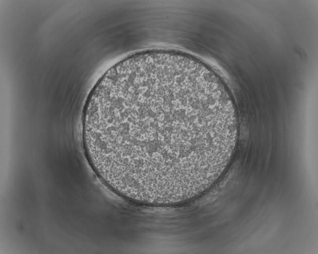 X0000111911287200909071149