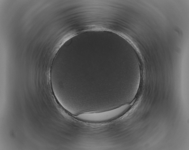 X0000111911289200909071149