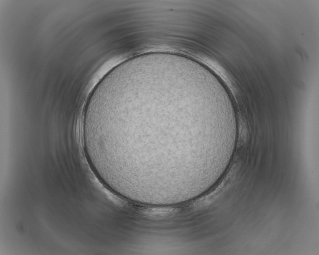 X0000111911290200909071149