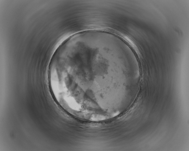 X0000111911291200909071149