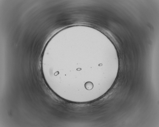 X0000111911292200909071149