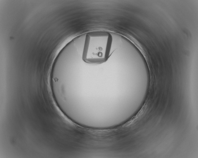 X0000111911293200909071149