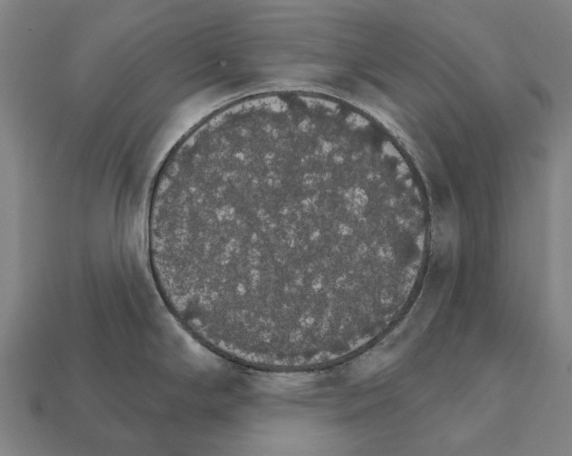 X0000111911294200909071149