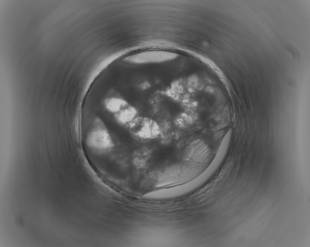 X0000111911295200909071149
