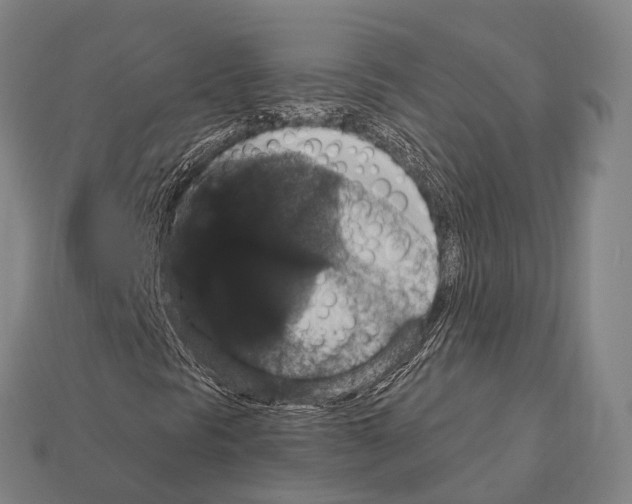 X0000111911297200909071148