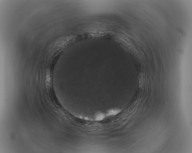 X0000111911298200909071148