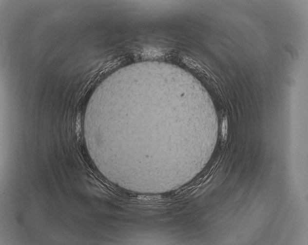 X0000111911299200909071148