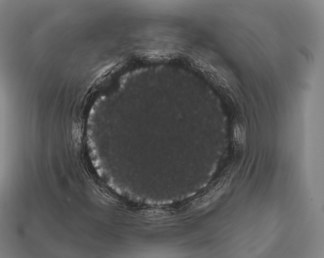 X0000111911300200909071148