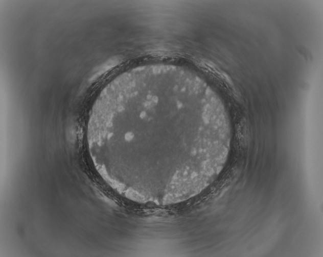 X0000111911302200909071148