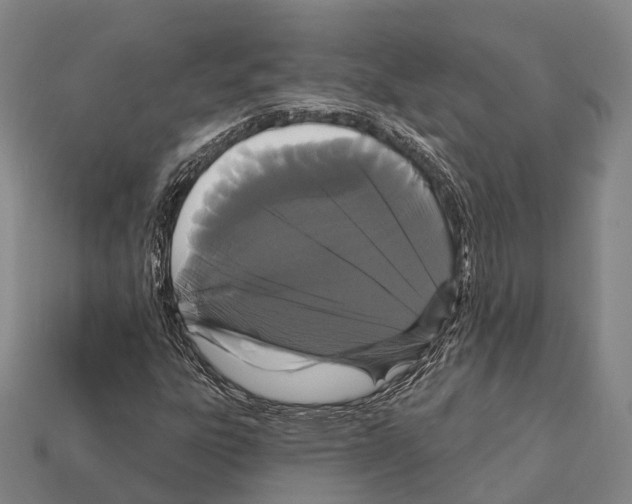 X0000111911303200909071148