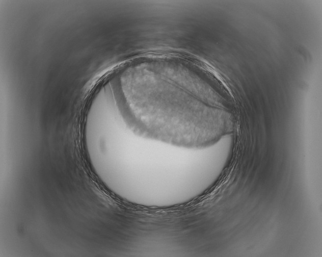 X0000111911304200909071148