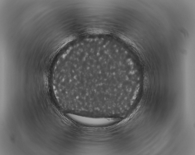 X0000111911305200909071148