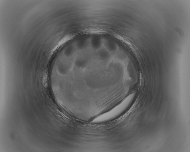 X0000111911306200909071148