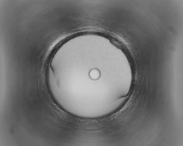 X0000111911310200909071148