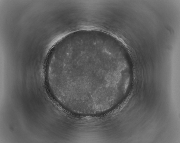X0000111911311200909071148