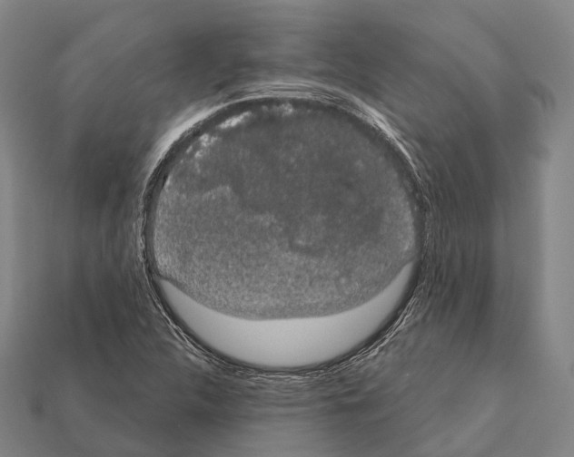X0000111911312200909071148