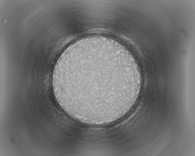 X0000111911313200909071148
