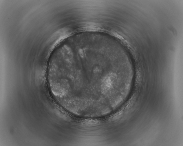 X0000111911314200909071148