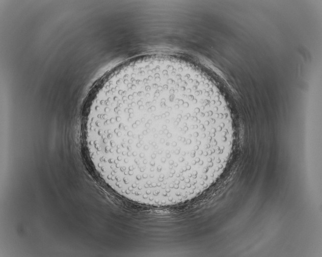 X0000111911315200909071148