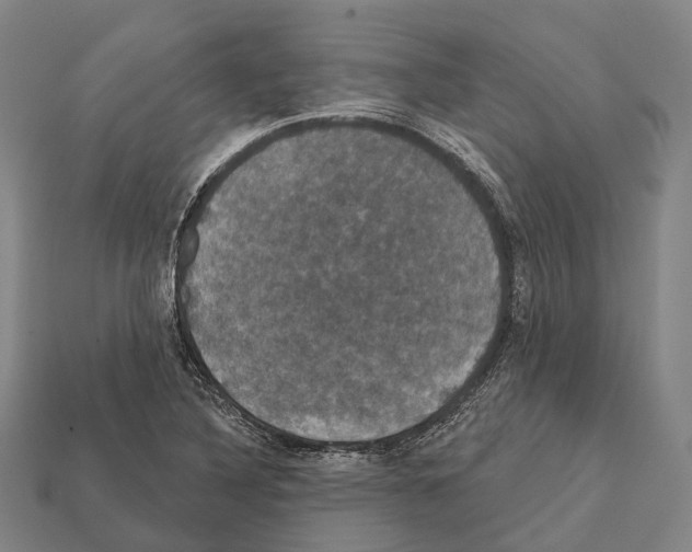 X0000111911316200909071148