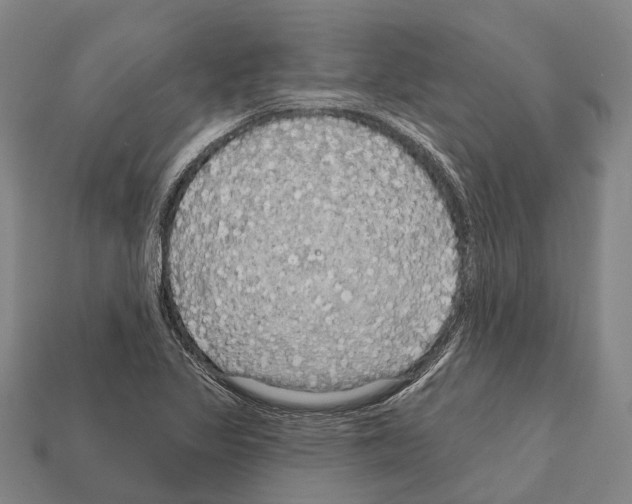 X0000111911317200909071148