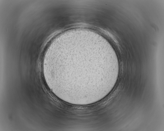 X0000111911318200909071148