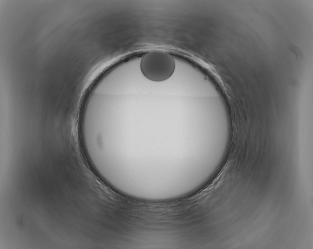 X0000111911319200909071148