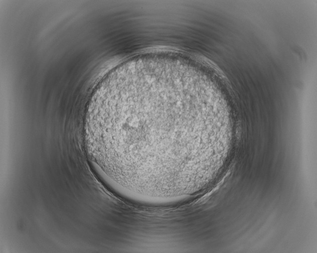 X0000111911321200909071148