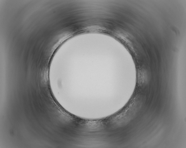 X0000111911322200909071148