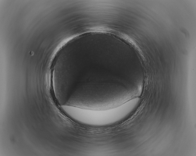 X0000111911323200909071148