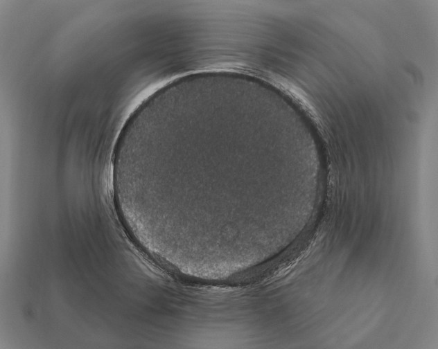 X0000111911324200909071148