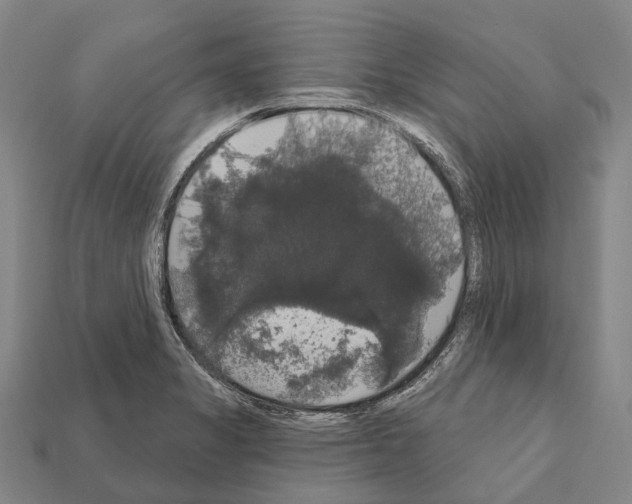 X0000111911325200909071148