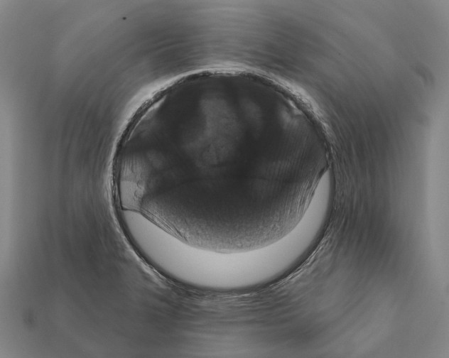 X0000111911327200909071148