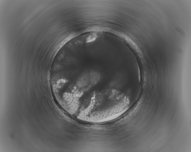 X0000111911329200909071149