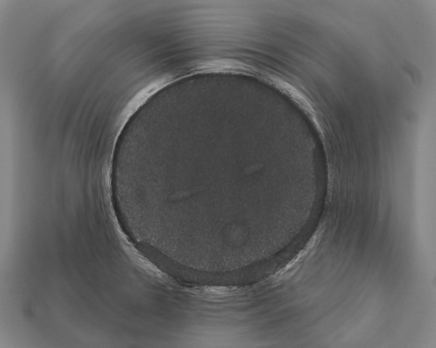 X0000111911330200909071149