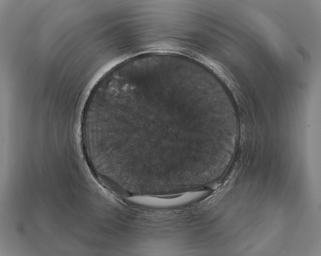 X0000111911331200909071149