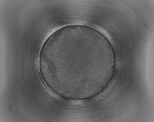 X0000111911332200909071149