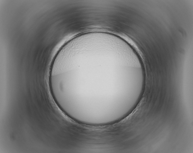 X0000111911333200909071149