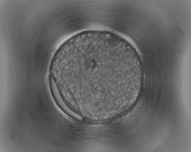 X0000111911335200909071149