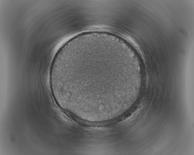 X0000111911336200909071149