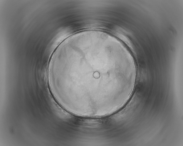X0000111911338200909071149