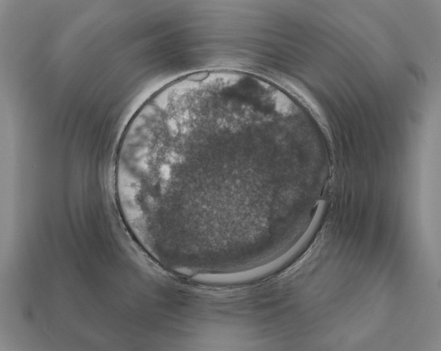 X0000111911340200909071149